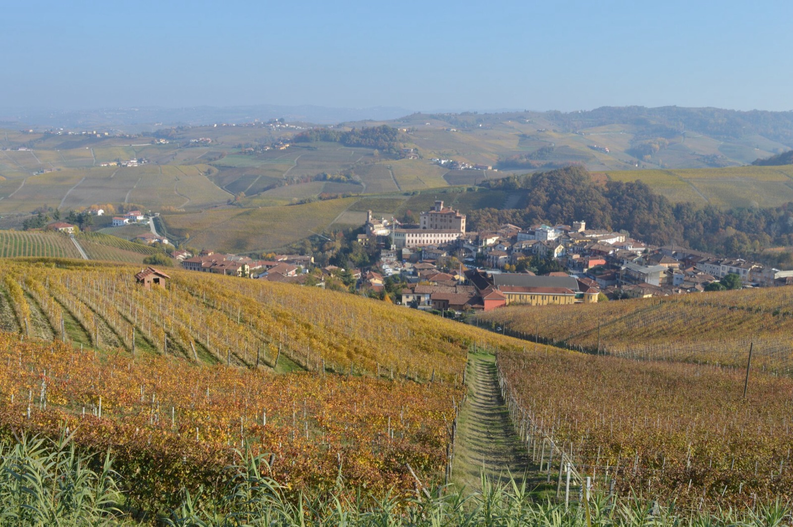 Barolo and its vineyards, Langhe