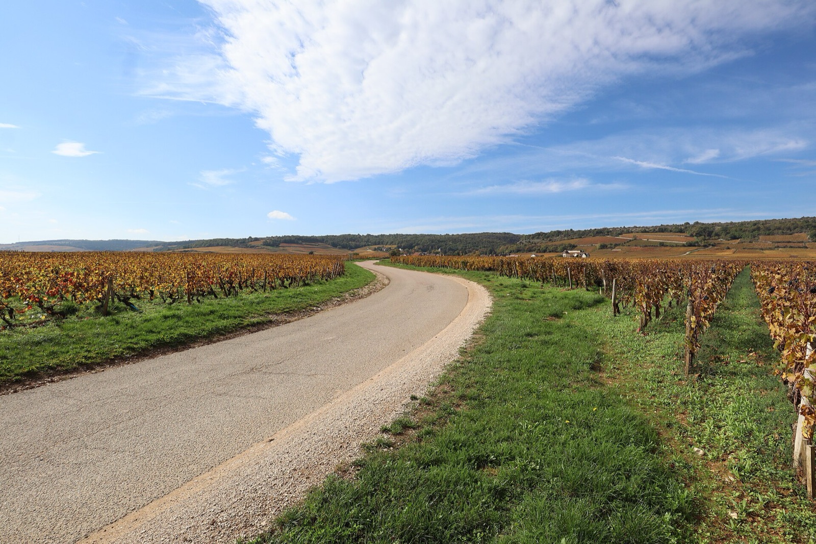 Chambolle-Musigny