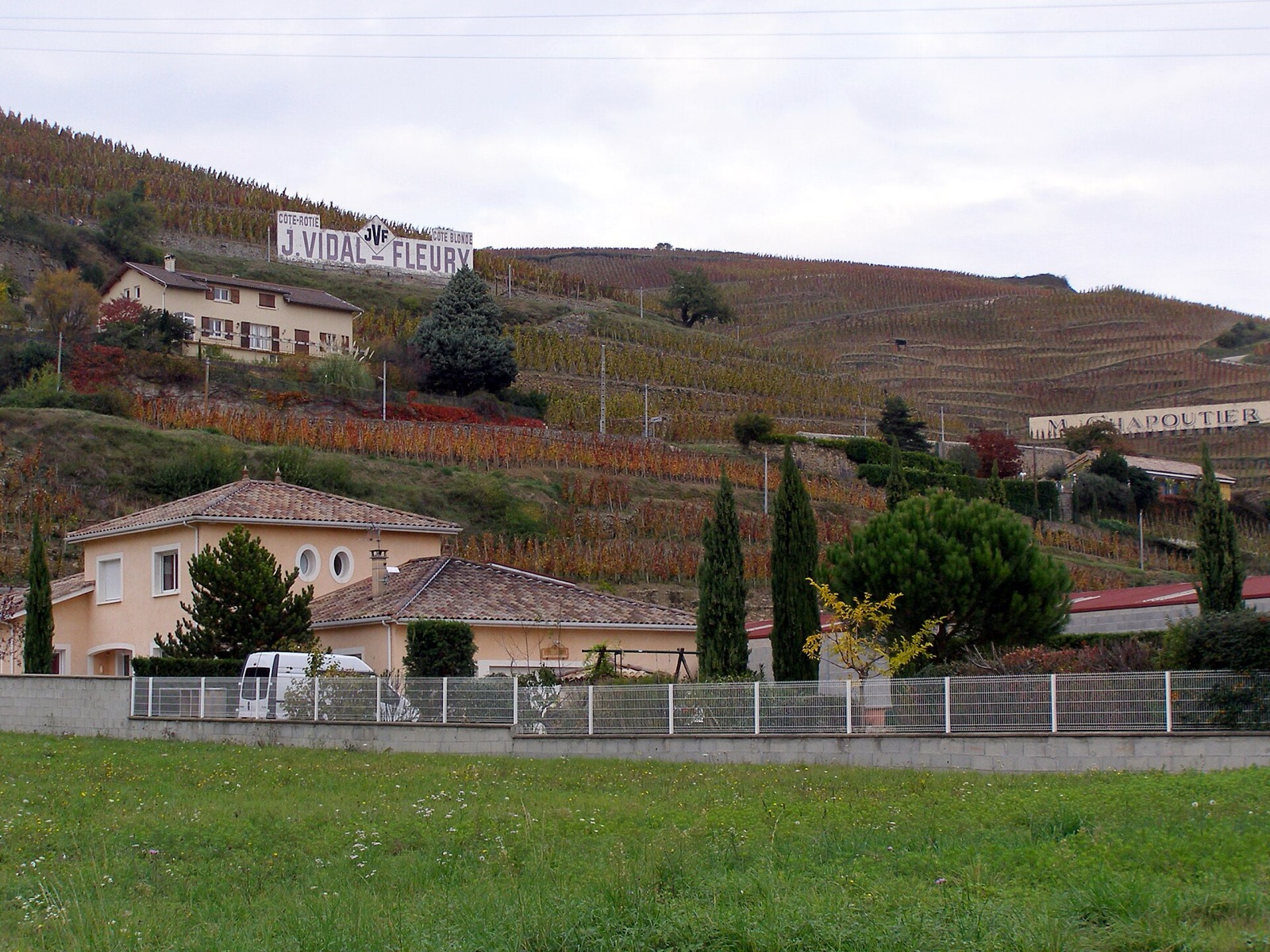 Terraced vineyards of Côte-Rôtie at Ampuis