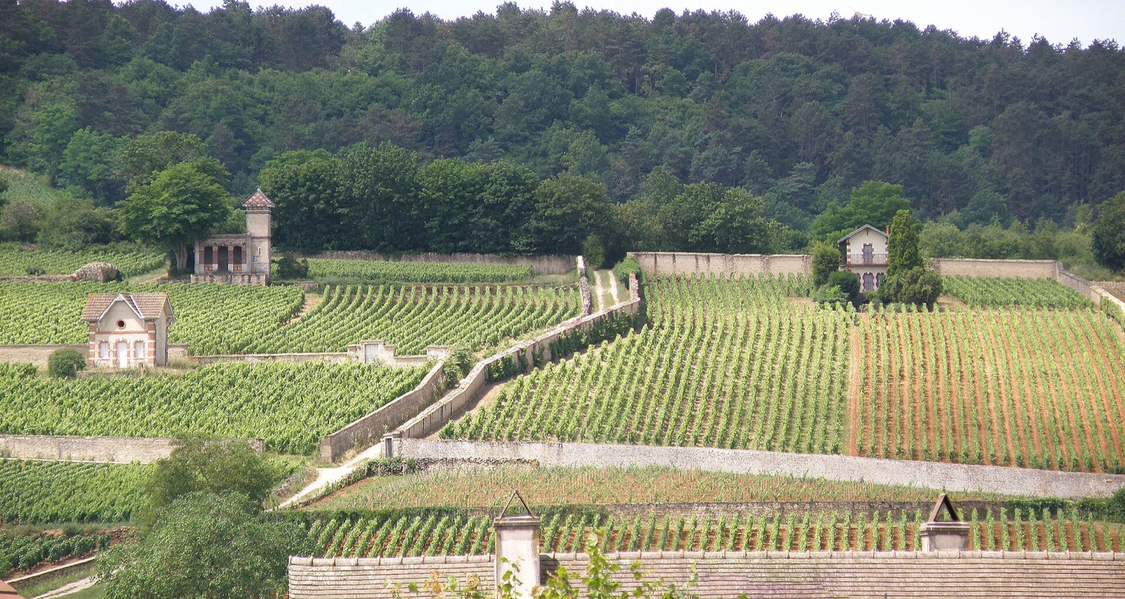 Meursault