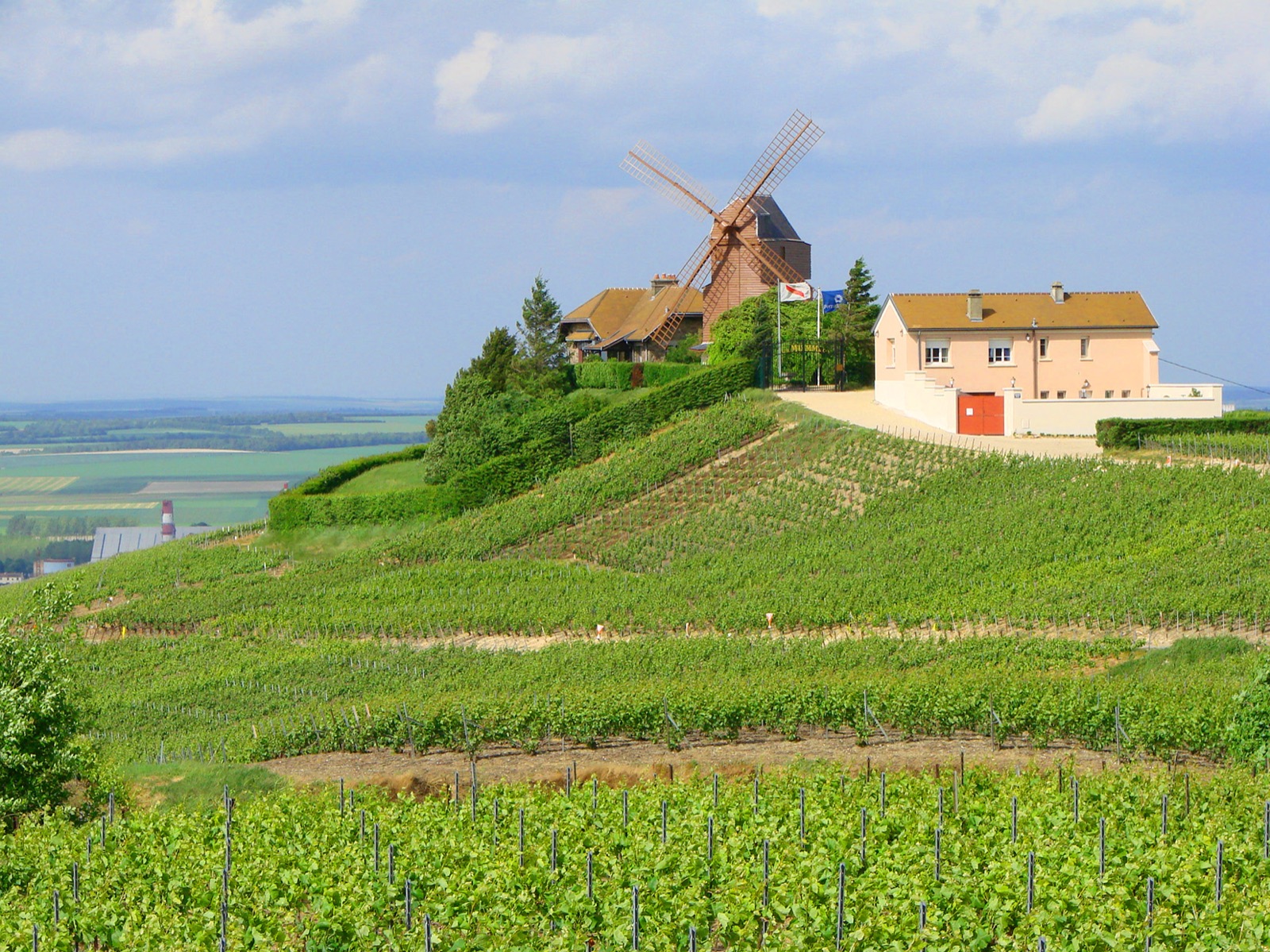 Montagne de Reims