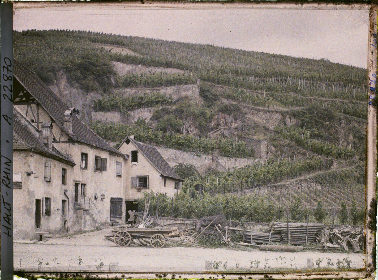 A French vineyard