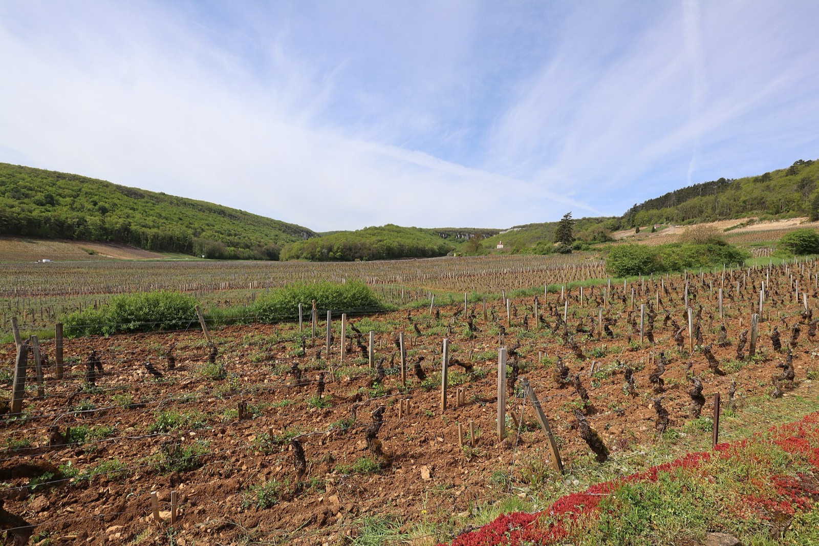 Chambertin, Gevrey-Chambertin