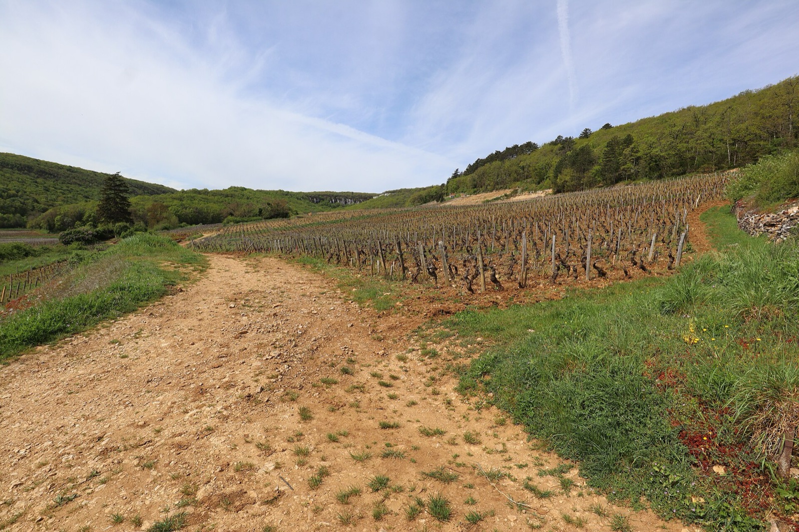 Chambertin, Gevrey-Chambertin