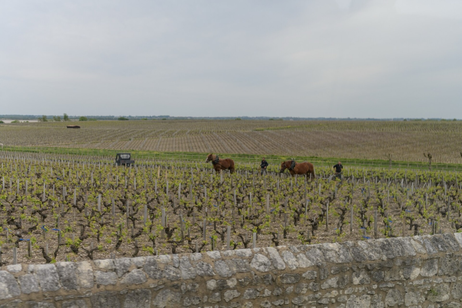 Château Latour