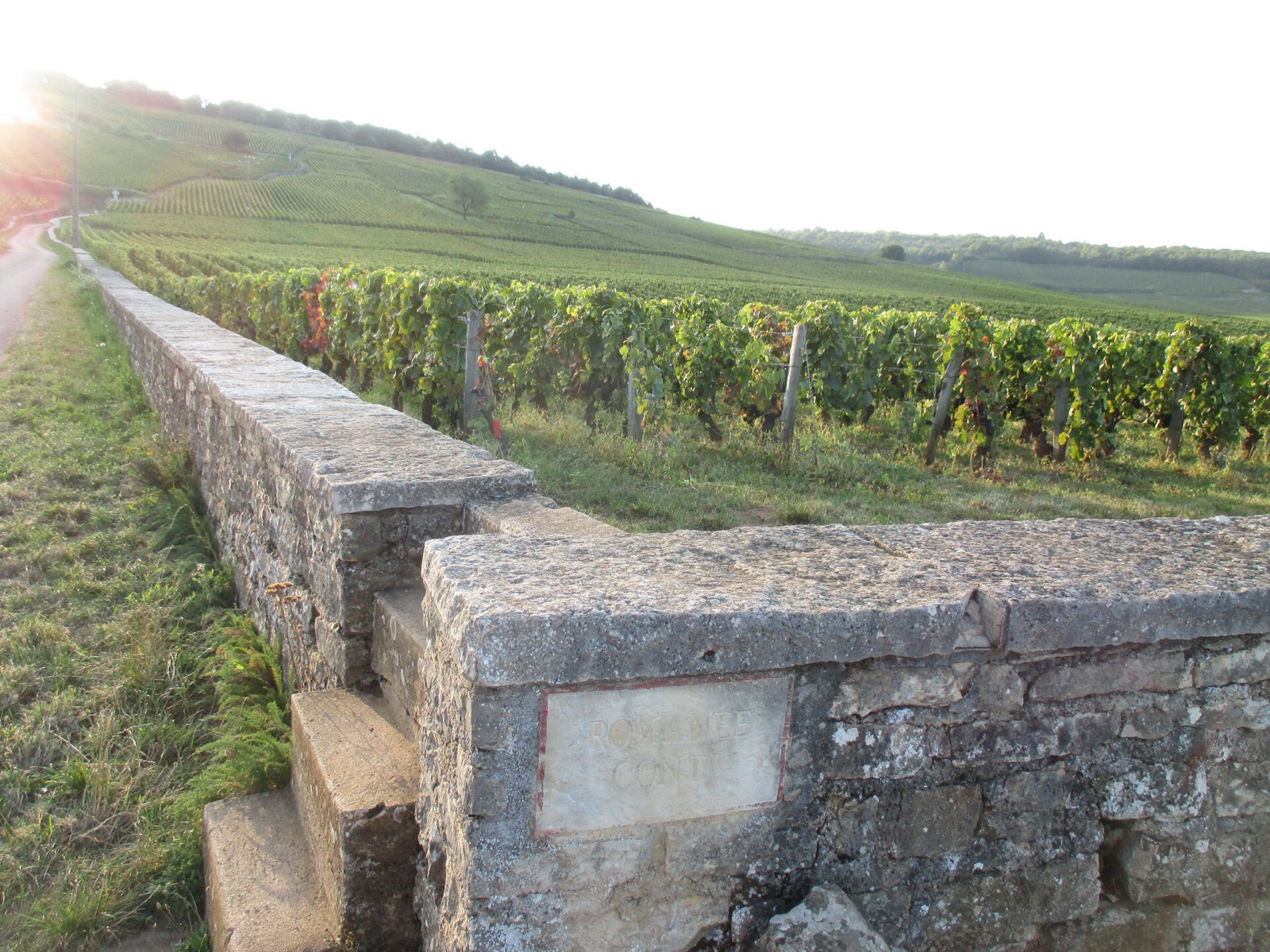The Romanée-Conti vineyard