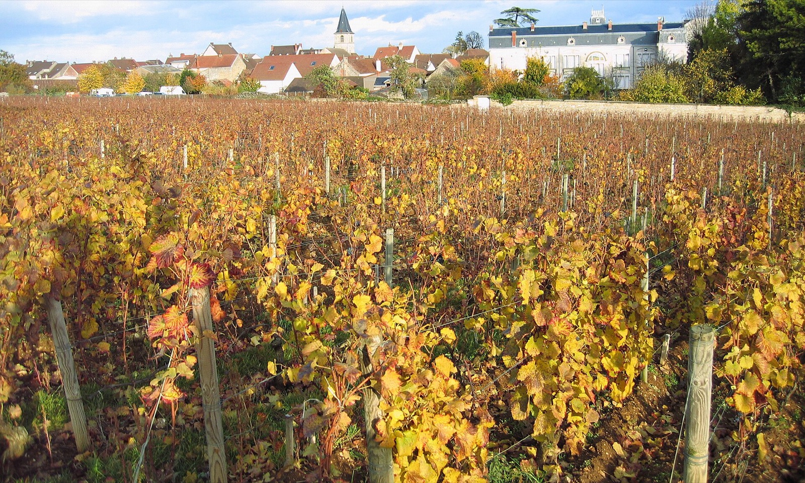 Vosne-Romanée, home of Domaine Leroy