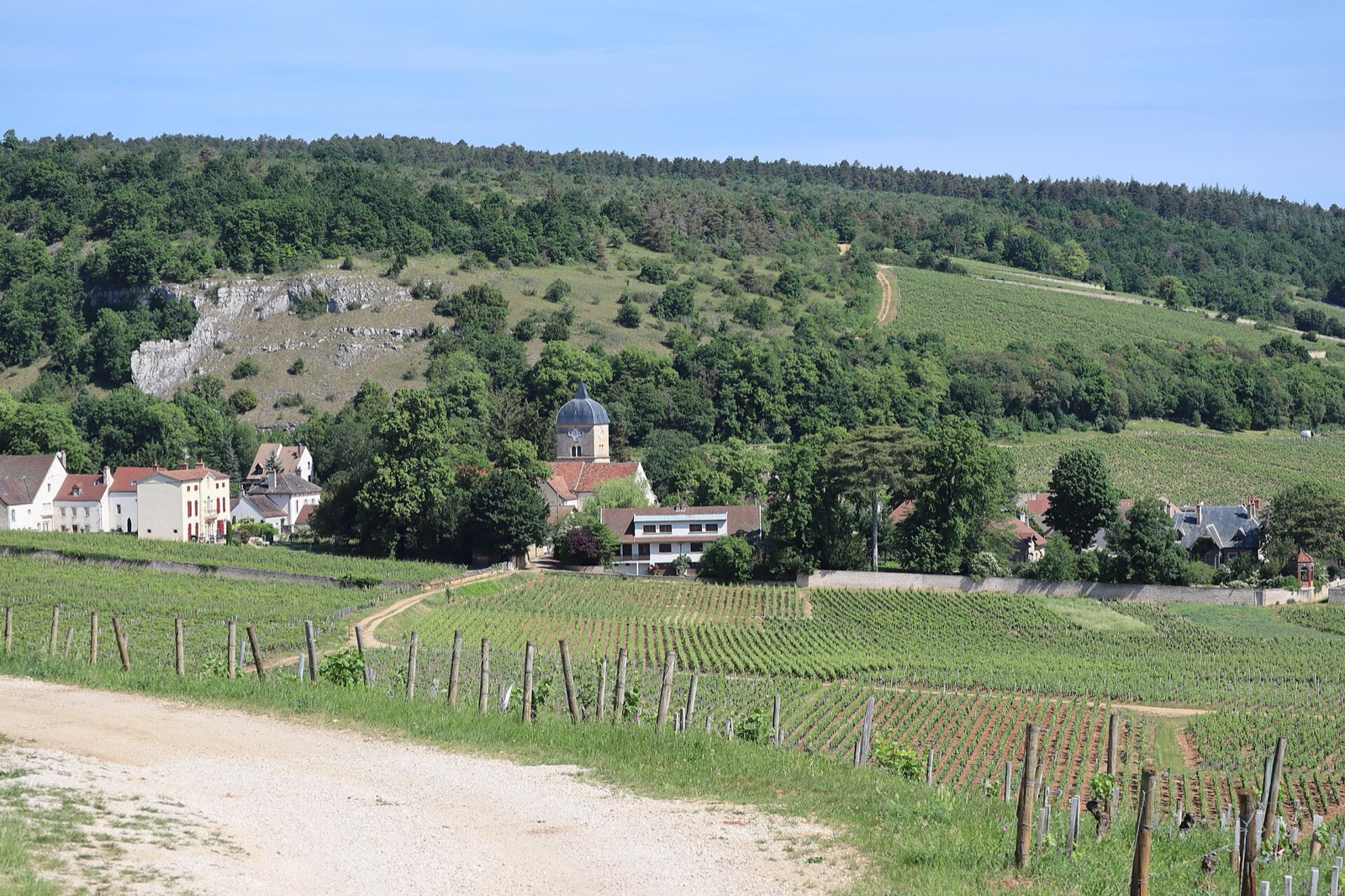 Chambolle-Musigny