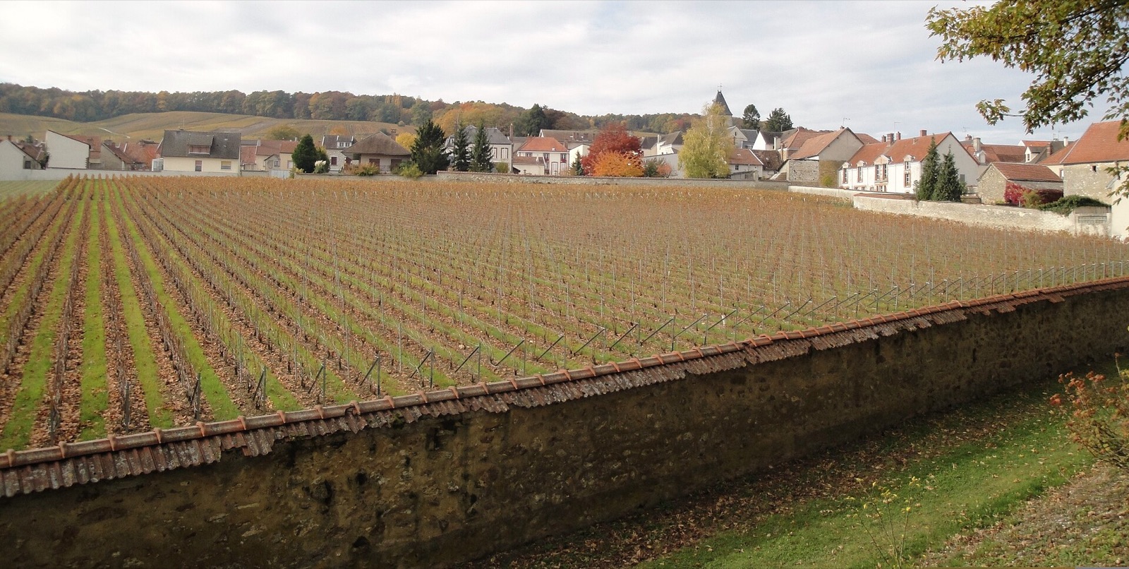 Krug, Reims