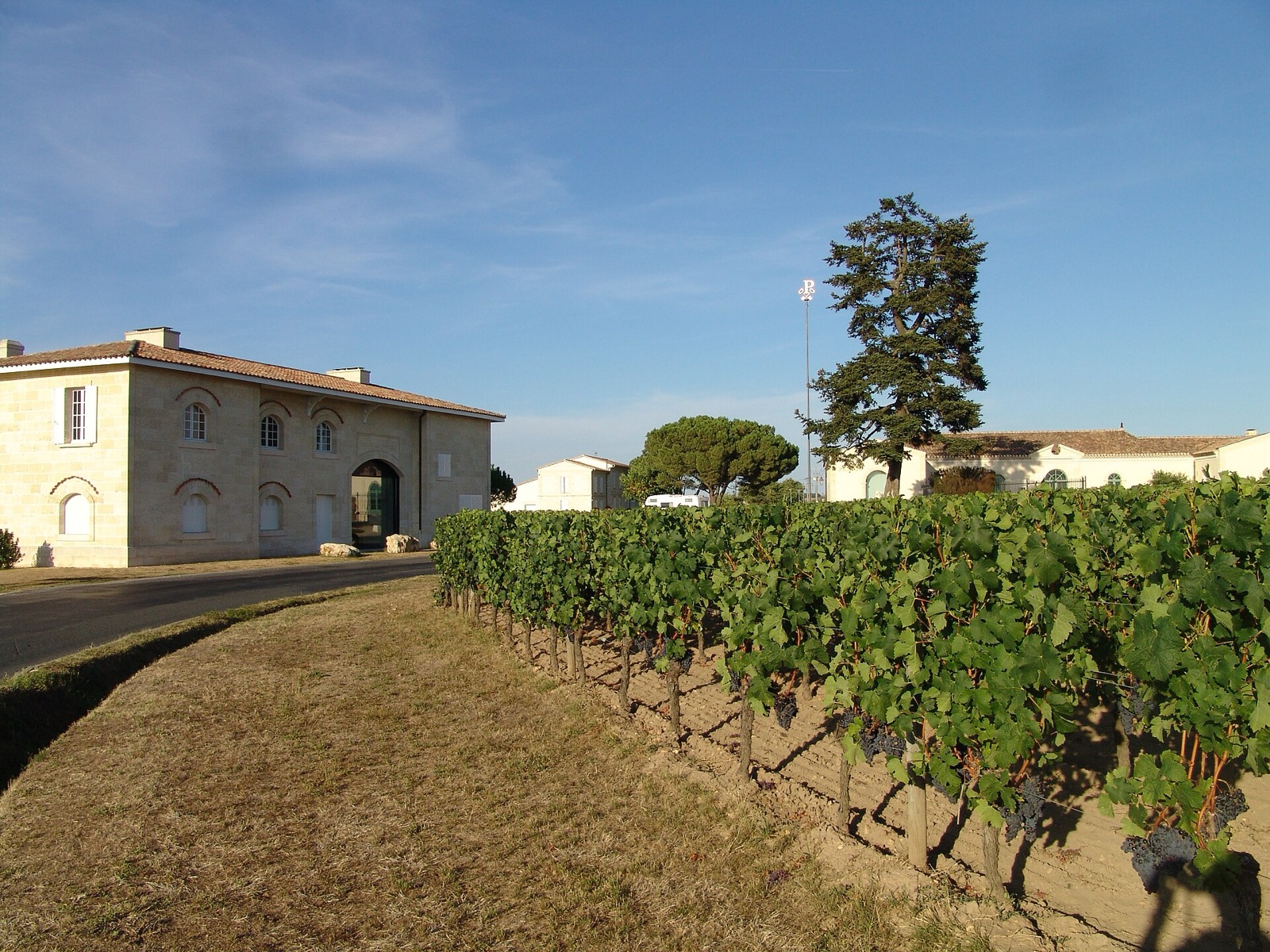 Petrus, Pomerol