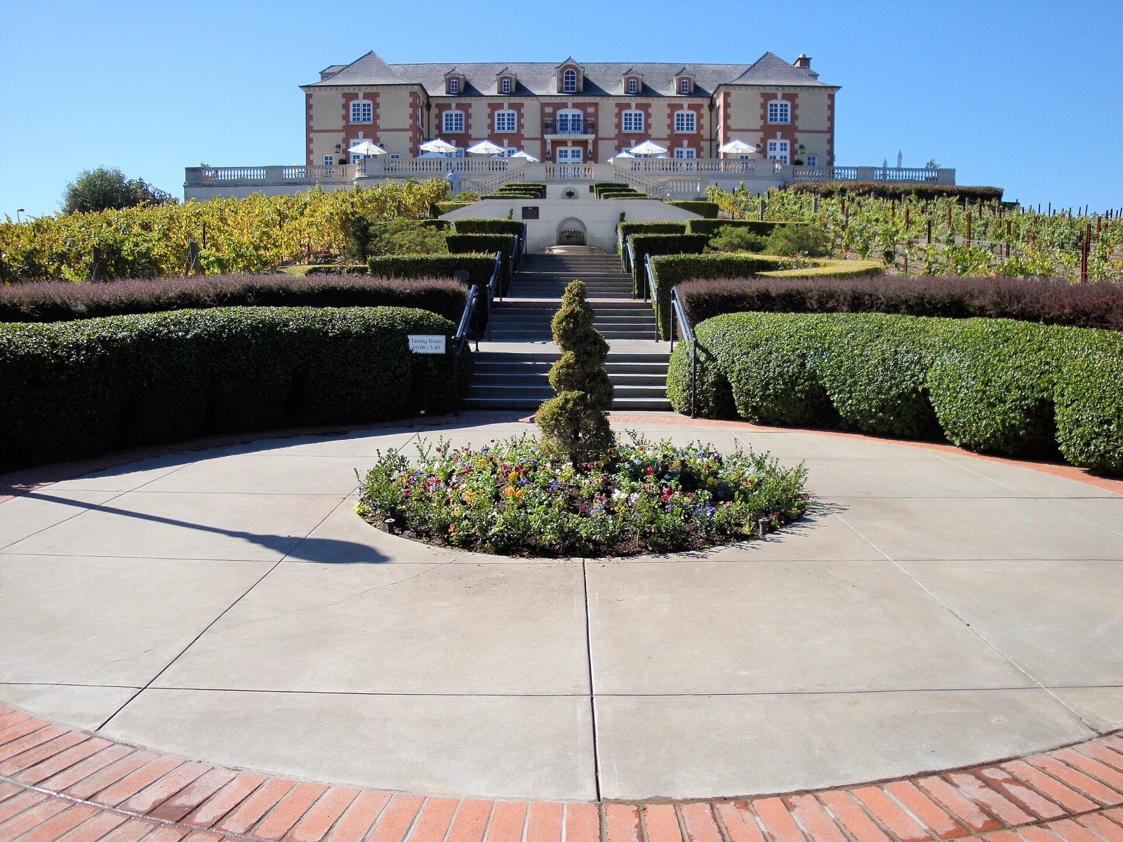 Vineyards of Carneros