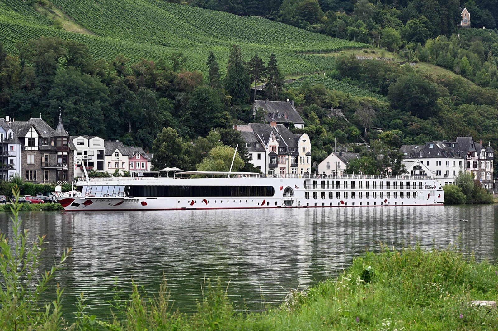 Steep vineyards of the Mosel