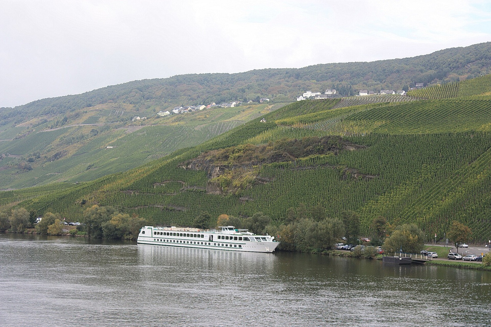 Steep vineyards of the Mosel
