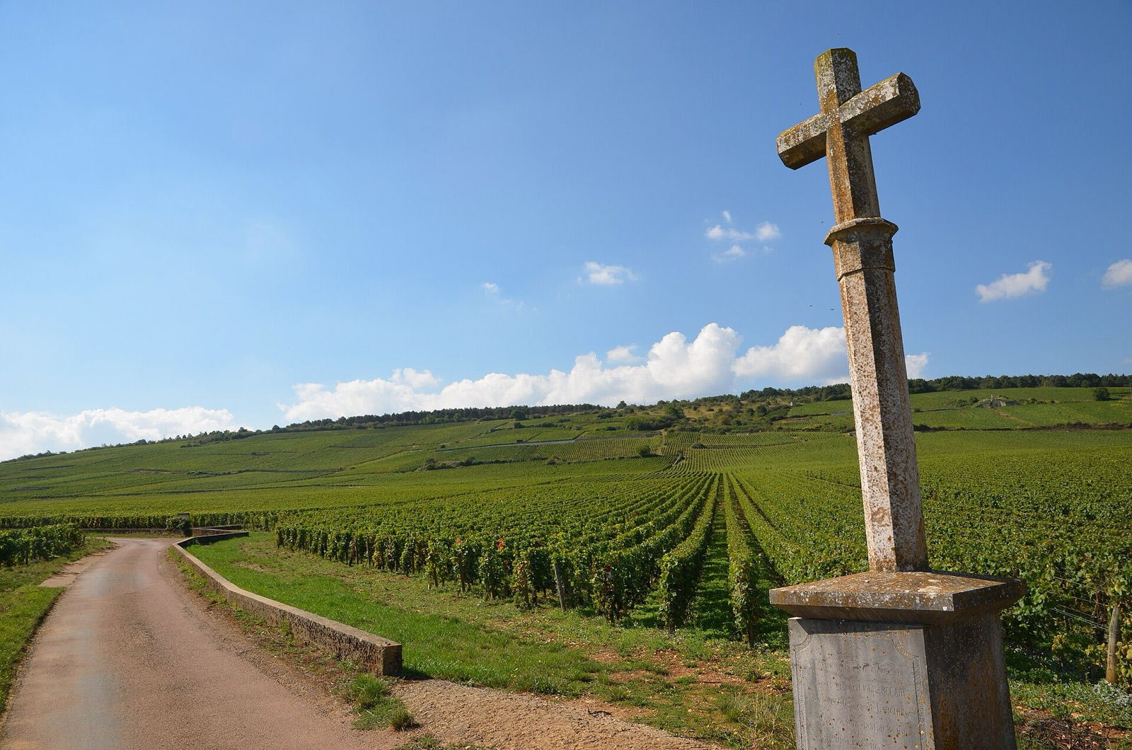 La Tâche, Vosne-Romanée