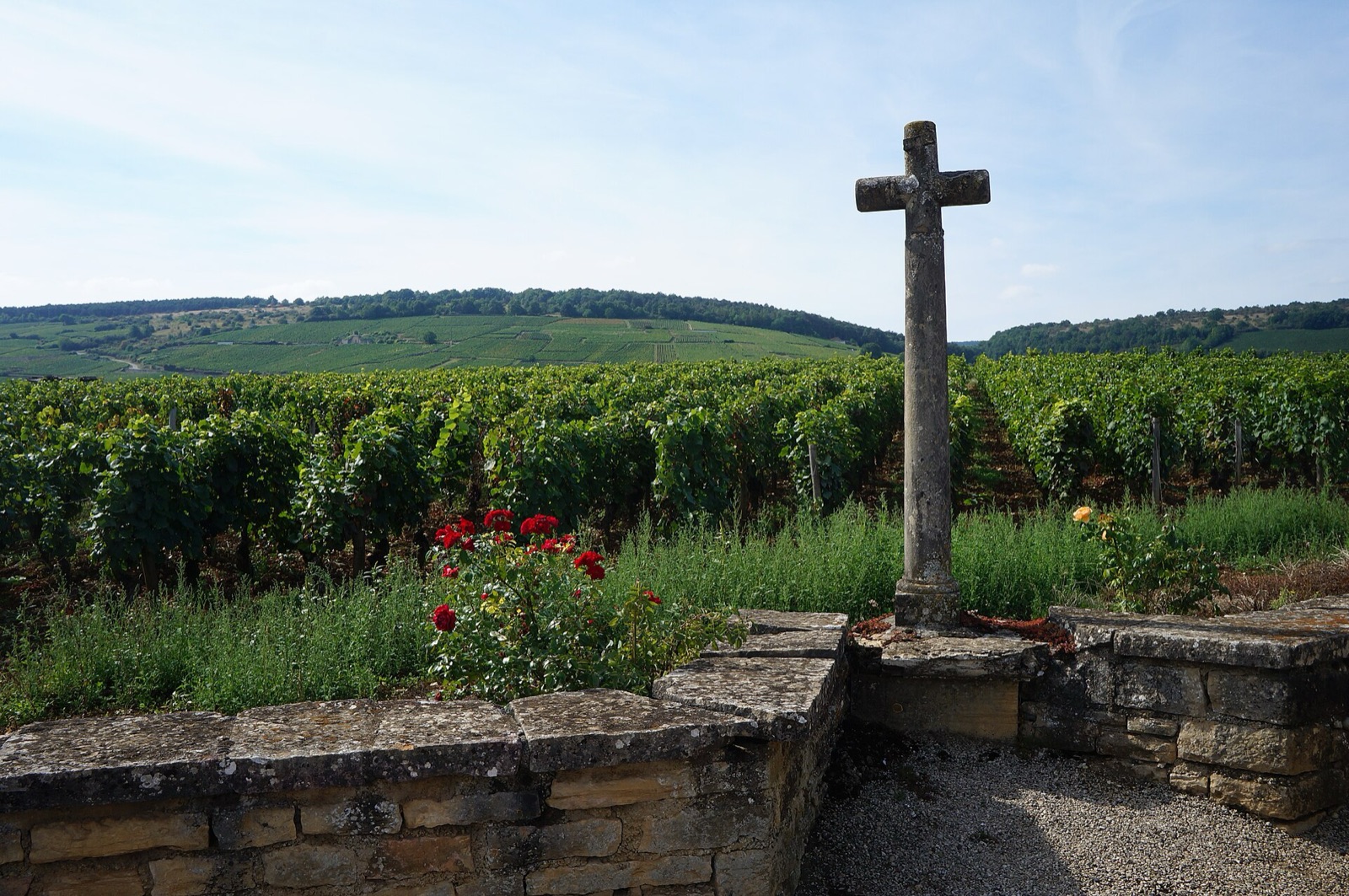 The Romanée-Conti vineyard and its cross