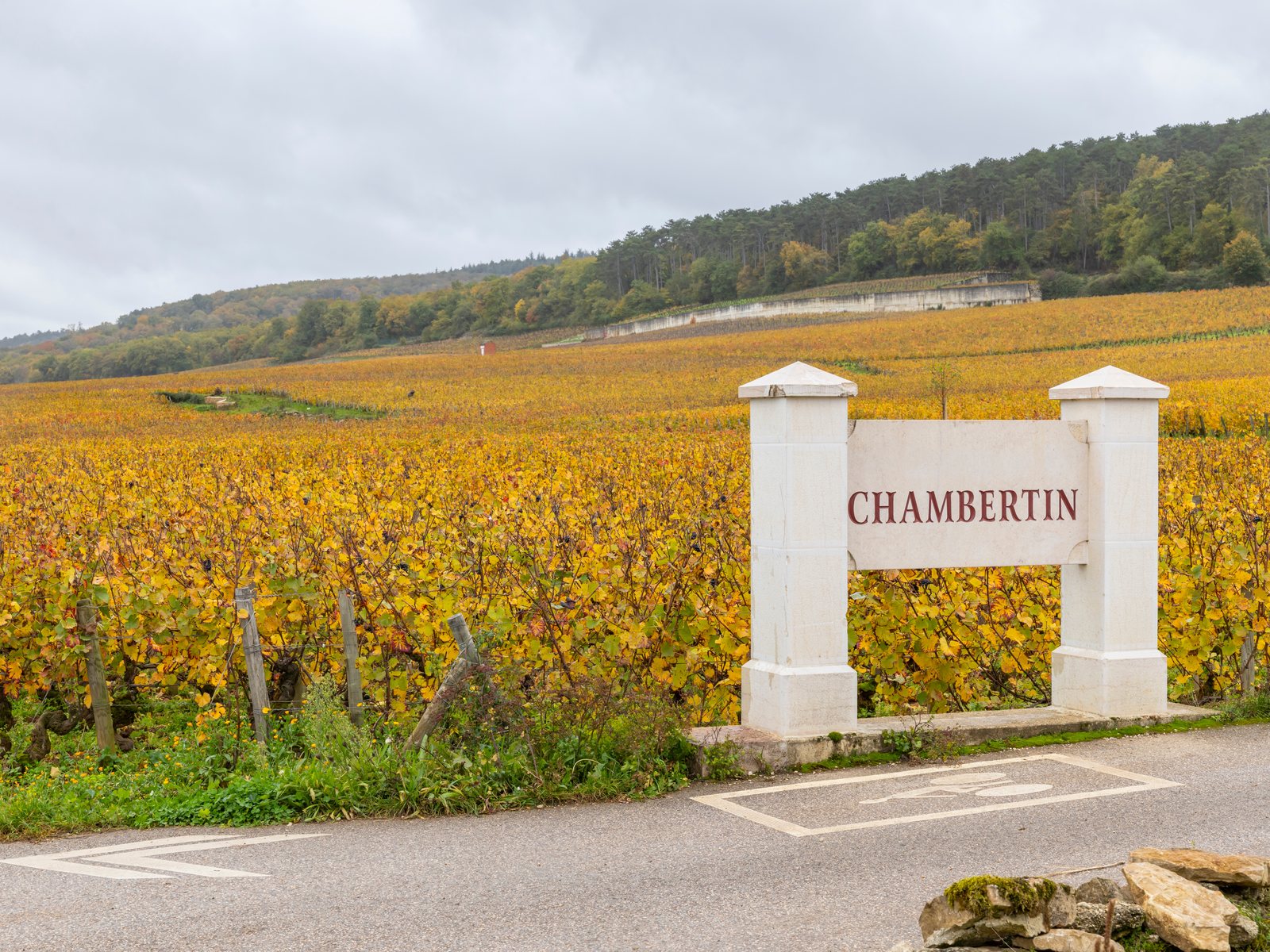 Chambertin Grand Cru vineyard in Gevrey-Chambertin, France