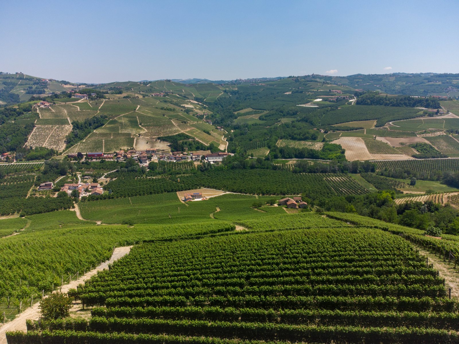 Hills between Serralunga and Castiglione Falletto, Piedmont, Italy