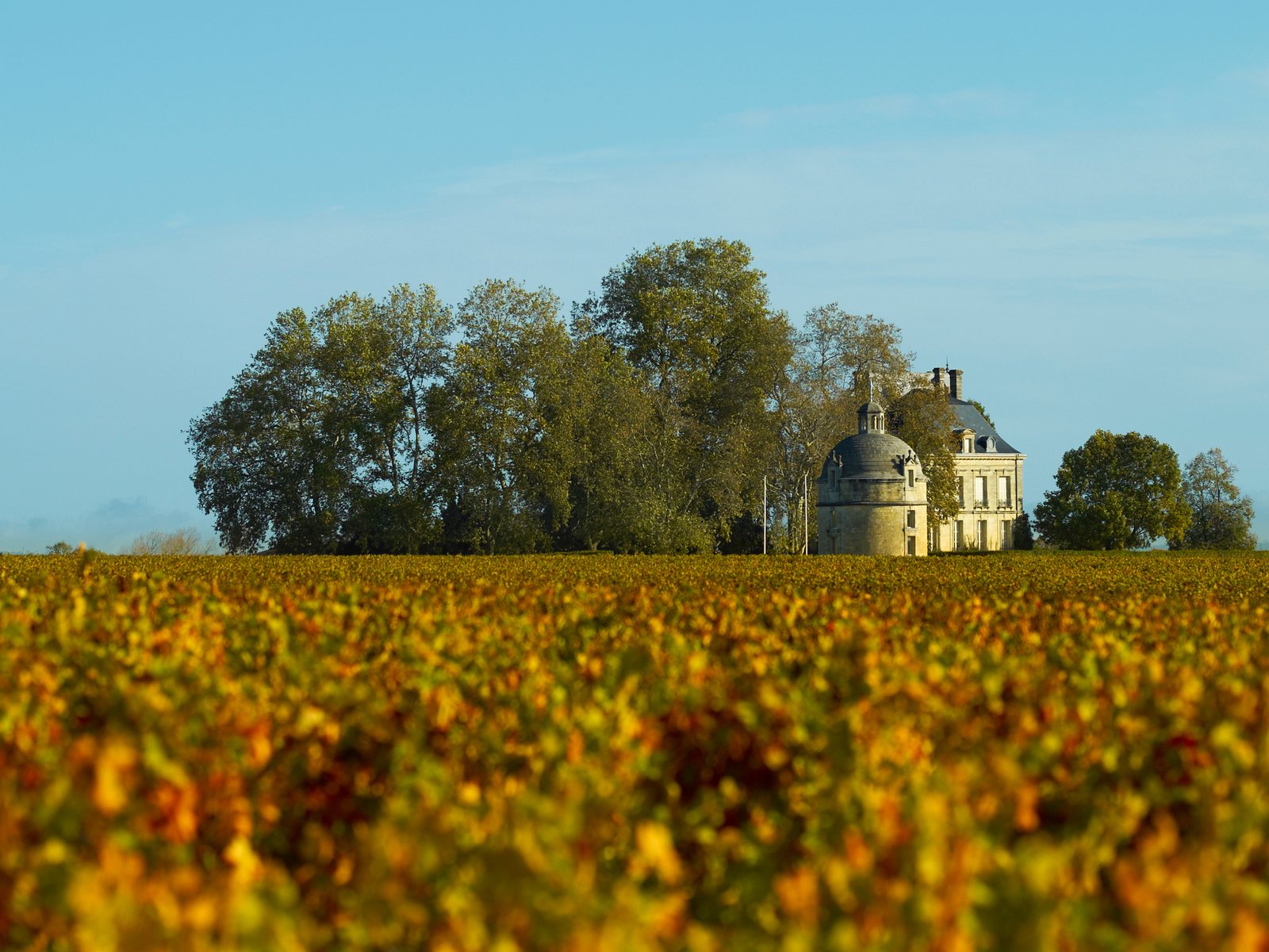 Château Latour, Pauillac, Bordeaux