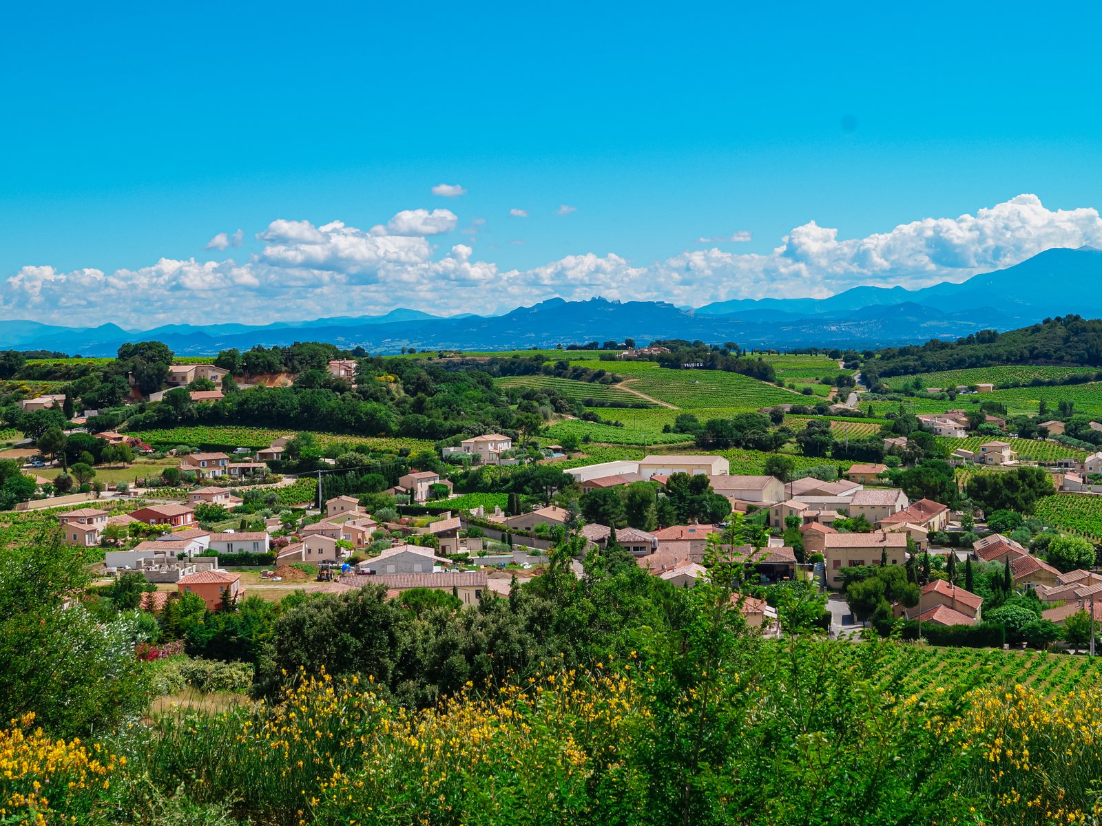 Aerial view of the wine village of Châteauneuf-du-Pape near Avignon, France