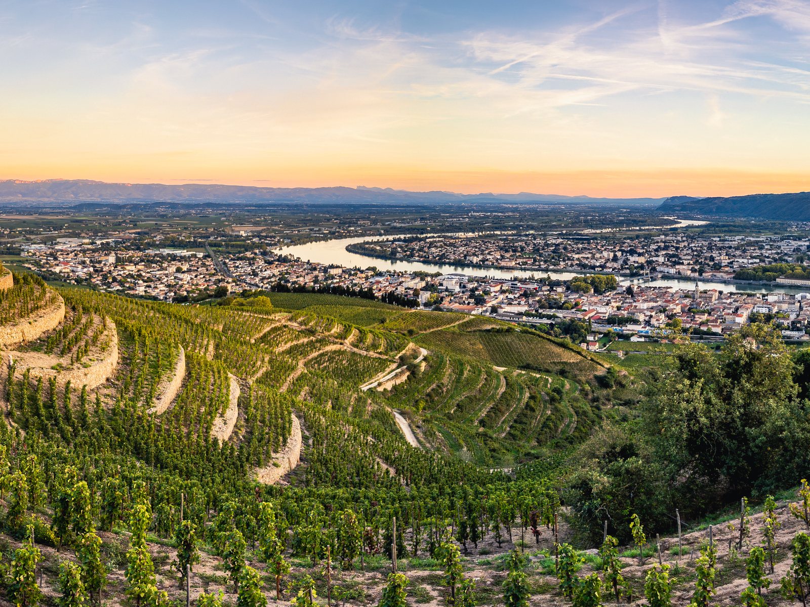 Sunset over the vineyards of Tain-l'Hermitage, Rhône Valley, France