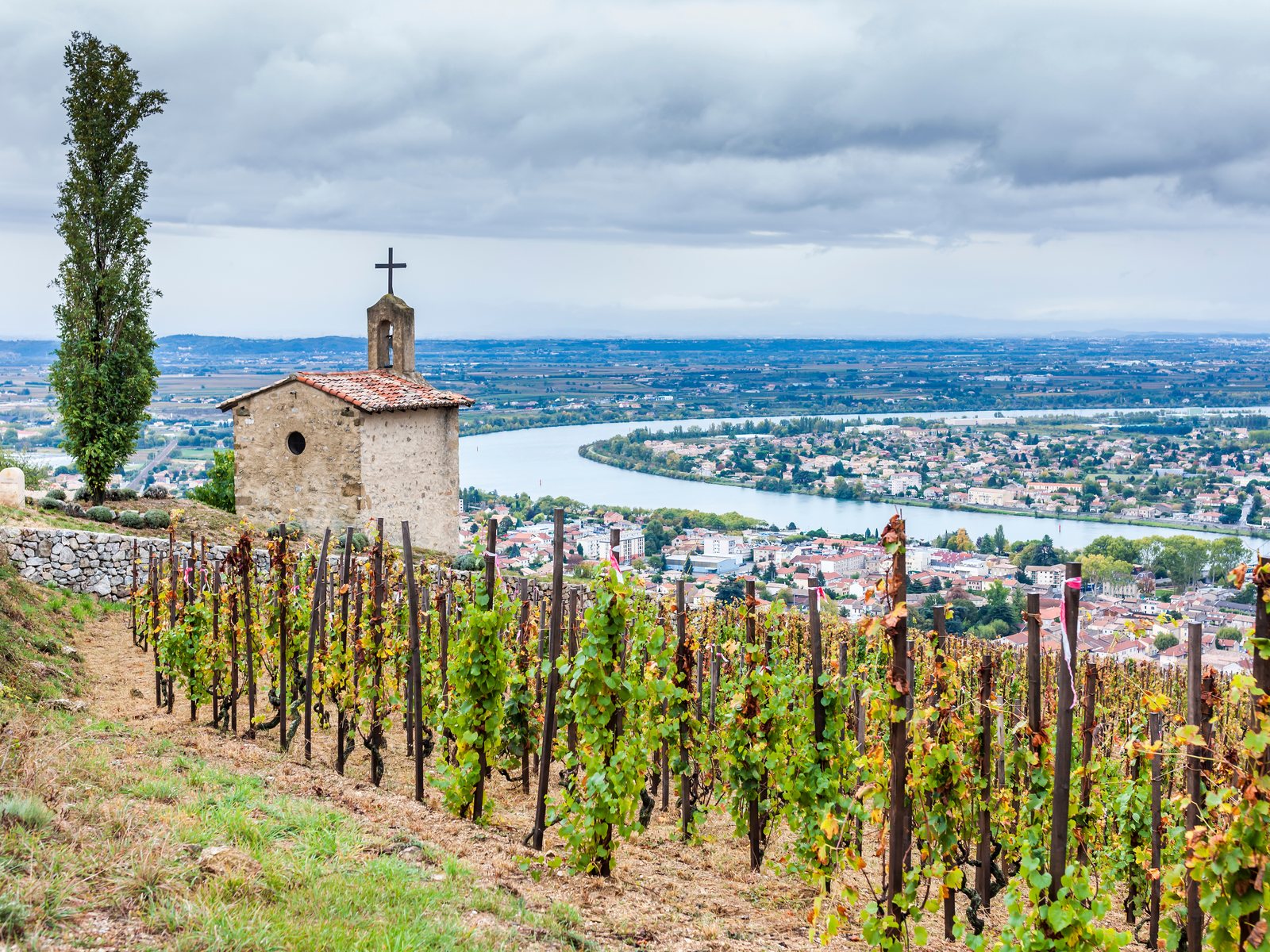 Grand cru vineyard and the Chapel of St. Christopher, Hermitage hill, Rhône, France