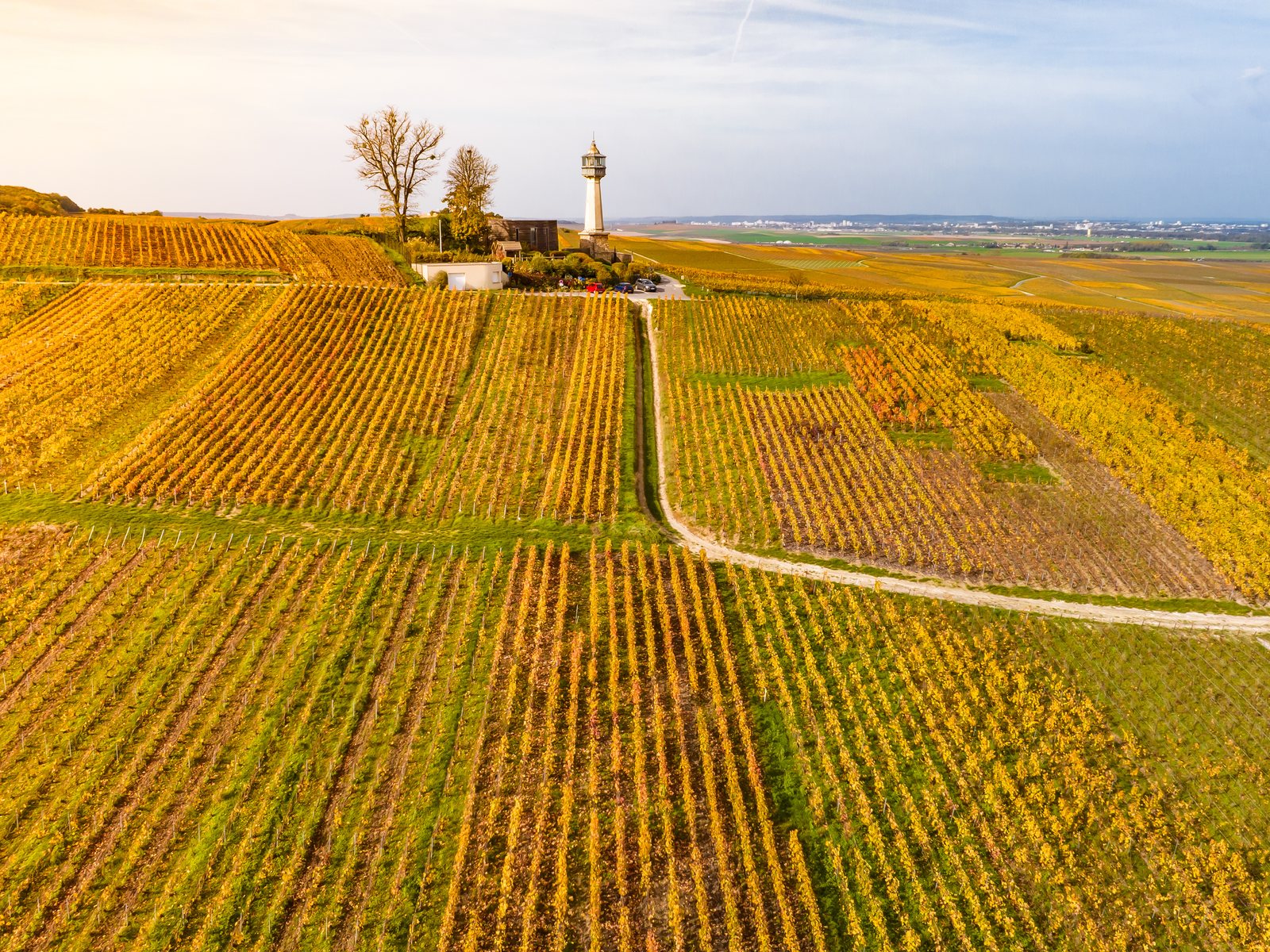Aerial view of the Phare de Verzenay among the Champagne vineyards of the Montagne de Reims in autumn