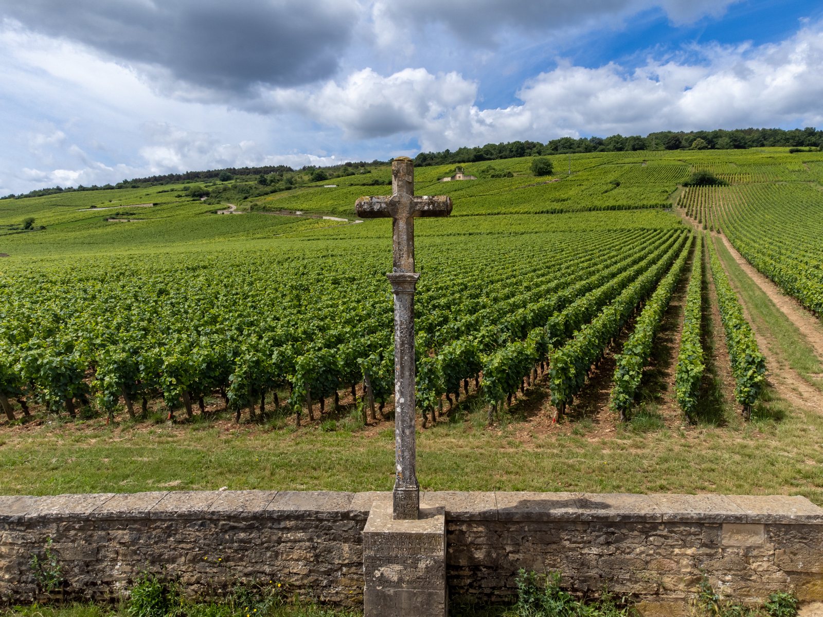 Grand cru and premier cru vineyards with a stone cross, Vosne-Romanée, Côte de Nuits, Burgundy