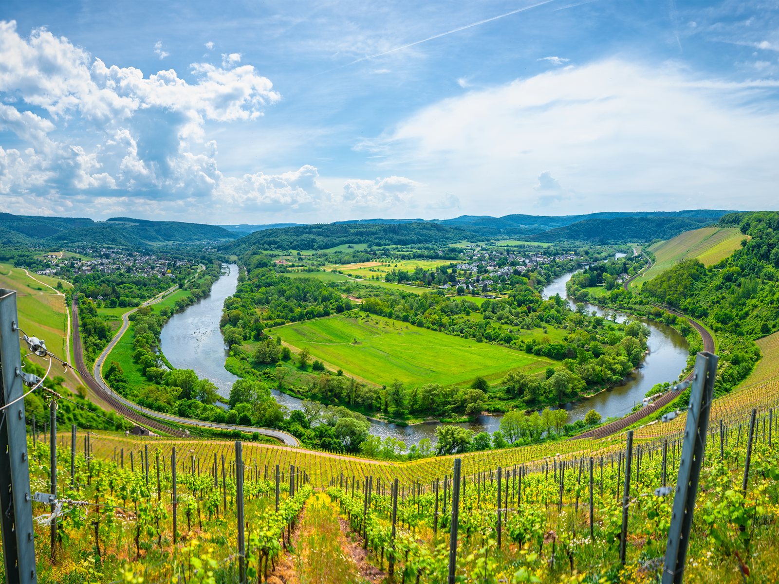 Vineyard view at Wiltingen, Saar