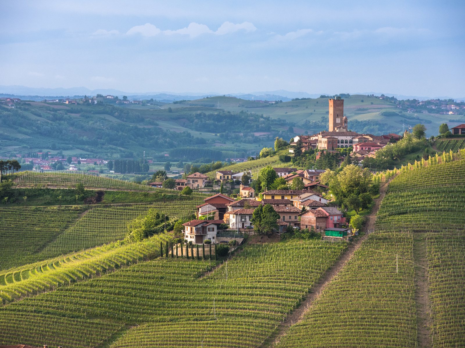 Panorama of Piedmont vineyards and the town of Barbaresco