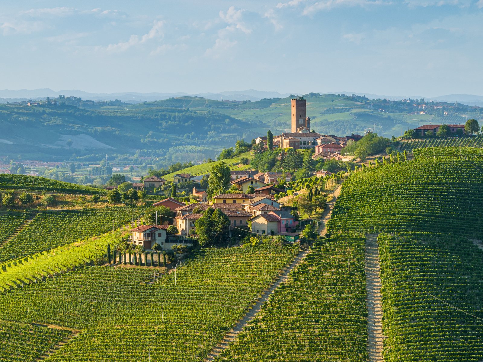 Hills and vineyards surrounding Barbaresco village in the Langhe, Piedmont, Italy
