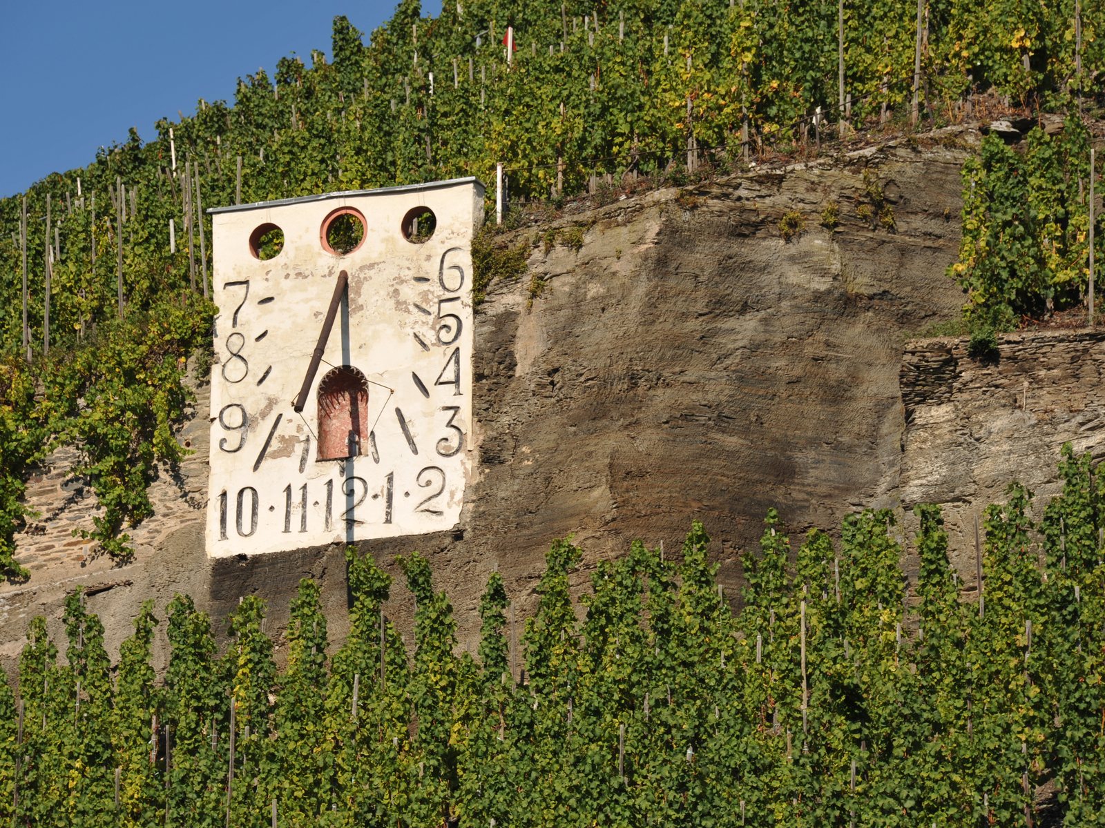 Wehlener Sonnenuhr vineyard, Riesling, Mosel, Wehlen