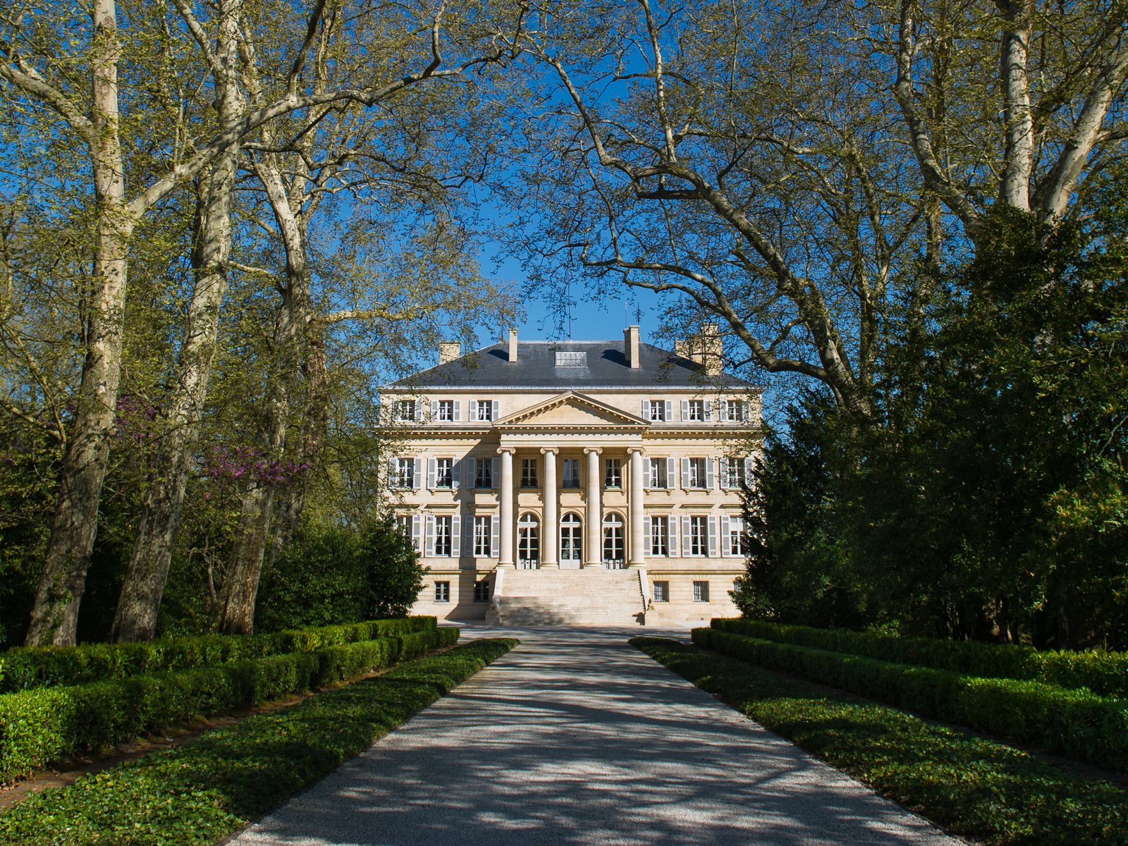Château Margaux vineyard, Bordeaux