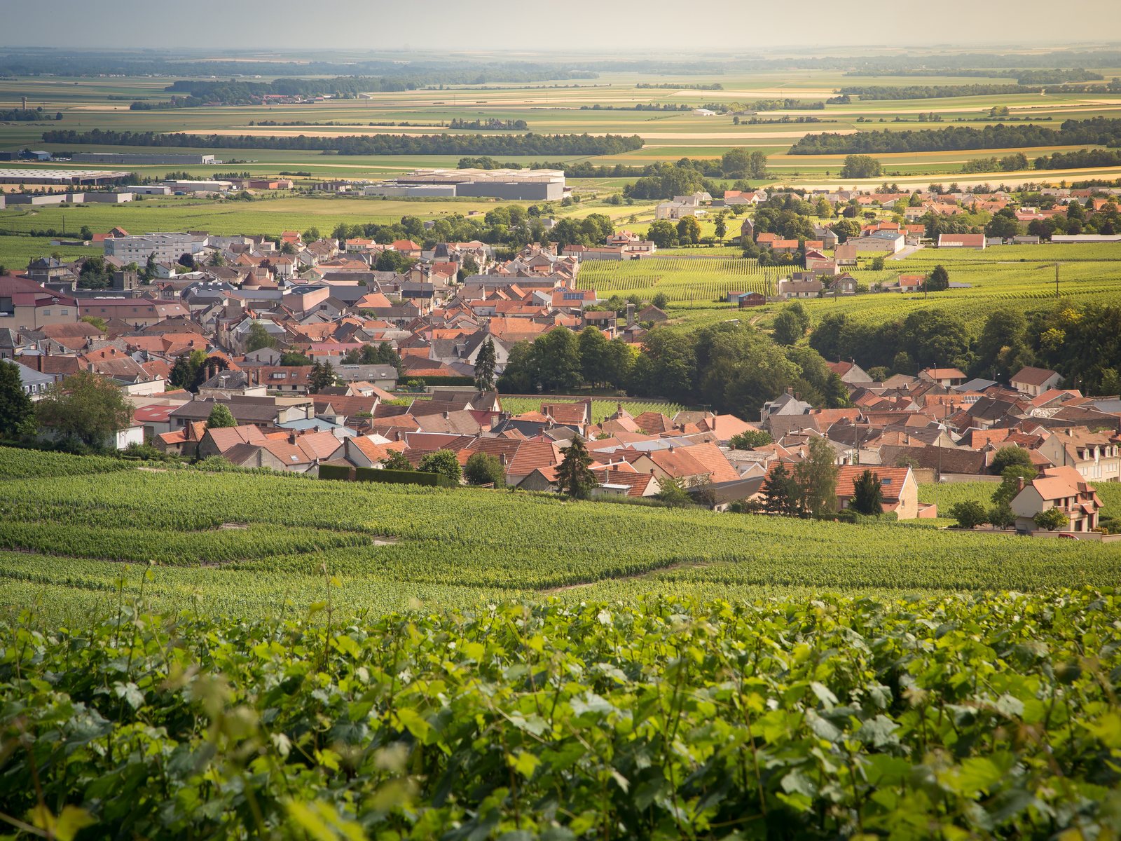 The village of Le Mesnil-sur-Oger in Champagne, France